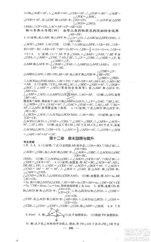 四川大学出版社2021课堂点睛八年级数学上册人教版答案