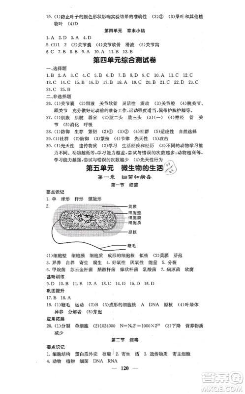 四川大学出版社2021课堂点睛八年级生物上册冀少版答案