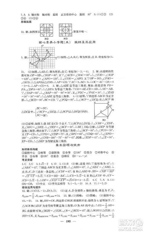 四川大学出版社2021课堂点睛九年级数学上册人教版答案