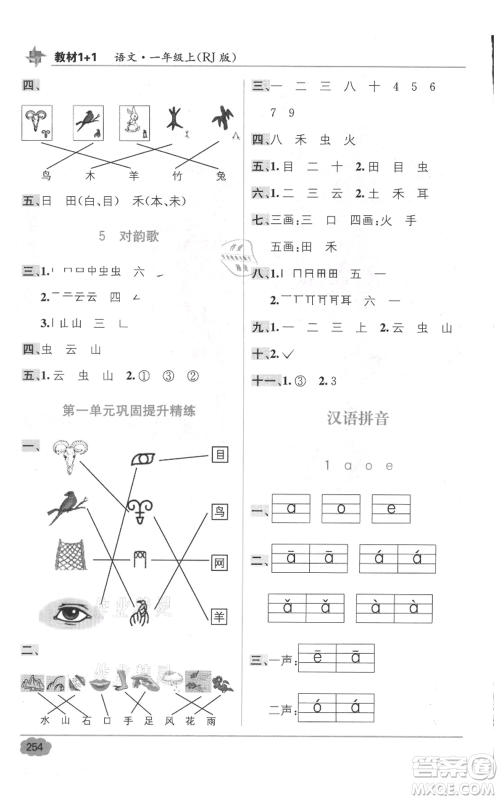 新疆青少年出版社2021教材1+1全解精练一年级上册语文人教版参考答案