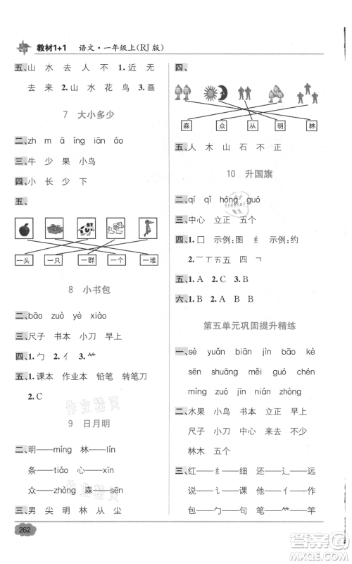 新疆青少年出版社2021教材1+1全解精练一年级上册语文人教版参考答案