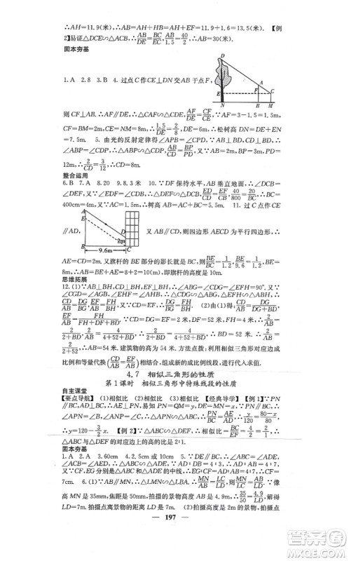 四川大学出版社2021课堂点睛九年级数学上册北师版答案