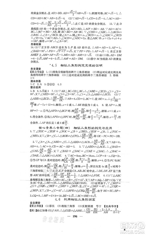 四川大学出版社2021课堂点睛九年级数学上册北师版答案