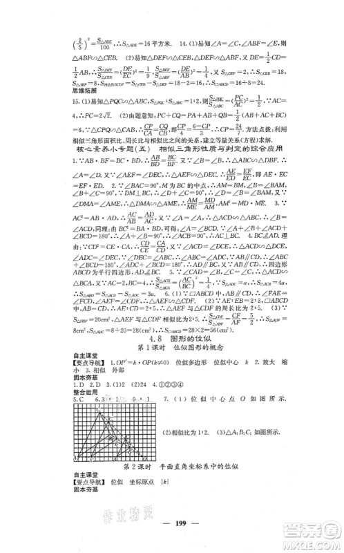 四川大学出版社2021课堂点睛九年级数学上册北师版答案