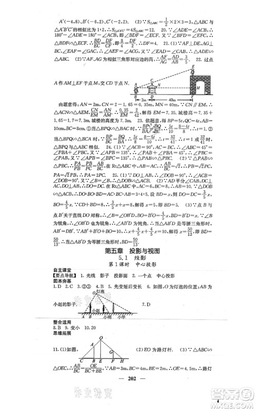 四川大学出版社2021课堂点睛九年级数学上册北师版答案