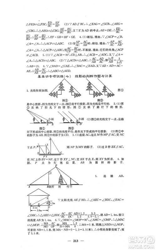 四川大学出版社2021课堂点睛九年级数学上册北师版答案