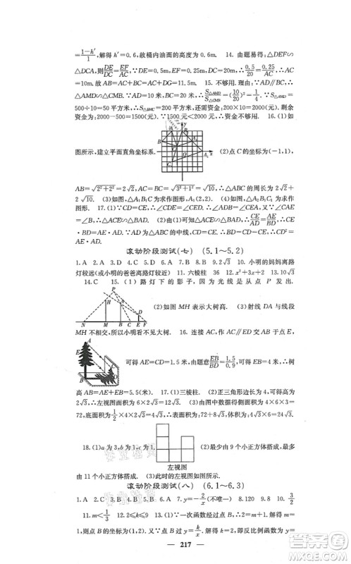 四川大学出版社2021课堂点睛九年级数学上册北师版答案