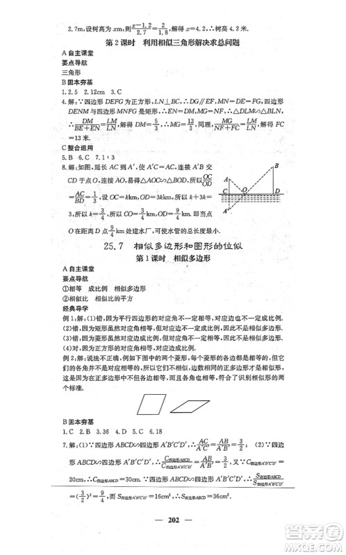 四川大学出版社2021课堂点睛九年级数学上册冀教版答案