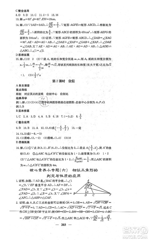 四川大学出版社2021课堂点睛九年级数学上册冀教版答案