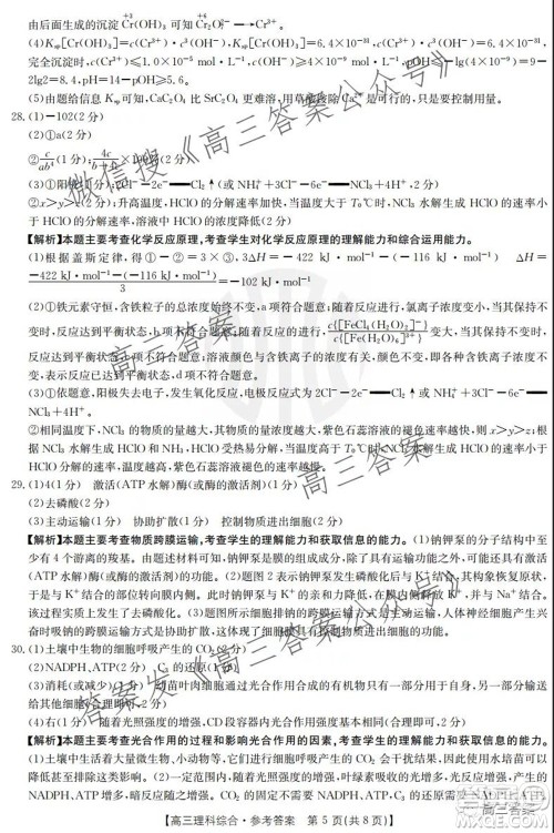 2022届四川金太阳高三10月联考理科综合试题及答案