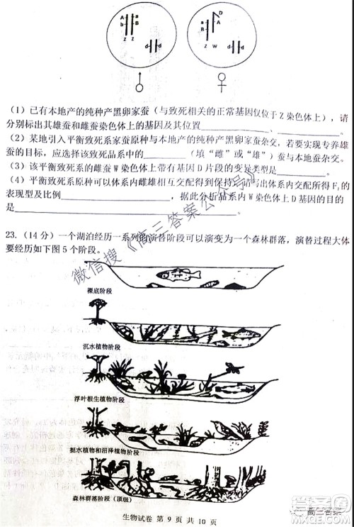 腾云联盟2021-2022学年度上学期高三10月联考生物学试题及答案