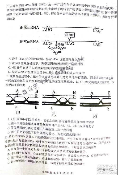 腾云联盟2021-2022学年度上学期高三10月联考生物学试题及答案