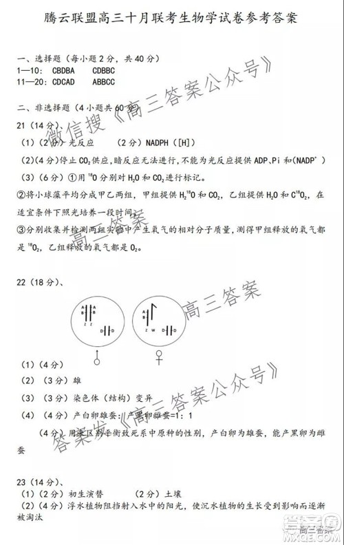 腾云联盟2021-2022学年度上学期高三10月联考生物学试题及答案