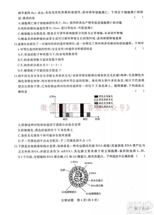 2022届普通高等学校全国统一招生考试青桐鸣10月大联考生物试题及答案