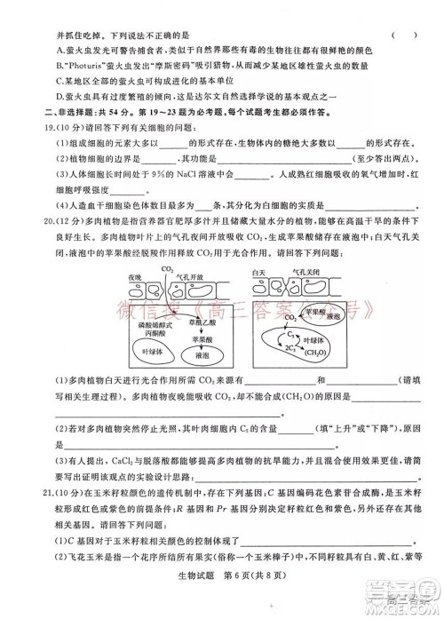 2022届普通高等学校全国统一招生考试青桐鸣10月大联考生物试题及答案