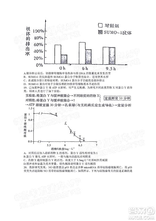 湖南名校联考联合体2021年高三10月联考生物试题及答案