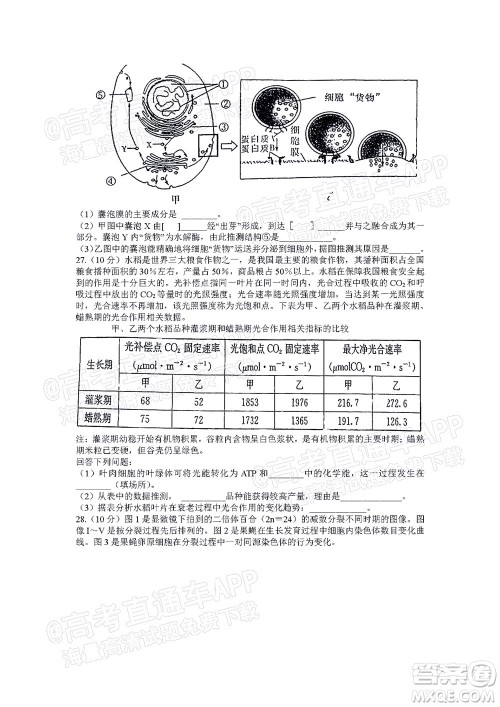 湖南名校联考联合体2021年高三10月联考生物试题及答案