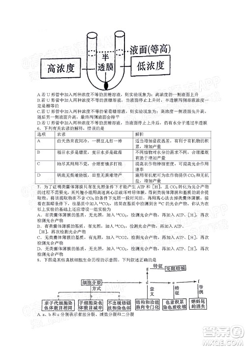 湖南名校联考联合体2021年高三10月联考生物试题及答案