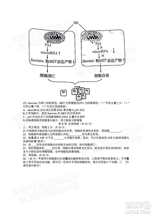 湖南名校联考联合体2021年高三10月联考生物试题及答案