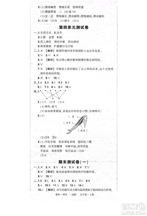 武汉出版社2021状元成才路创优作业100分五年级上册科学教科版参考答案