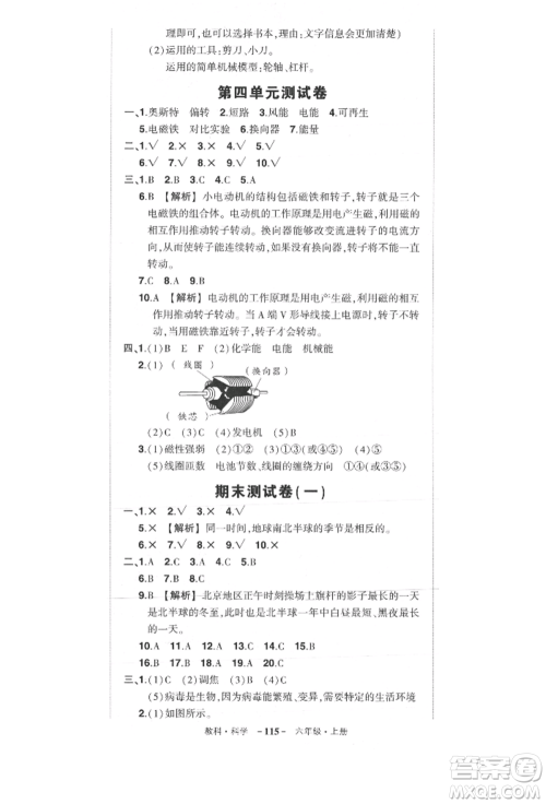 武汉出版社2021状元成才路创优作业100分六年级上册科学教科版参考答案 武汉出版社2021状元成才路创优作业100分六年级上册科学教科版参考答案