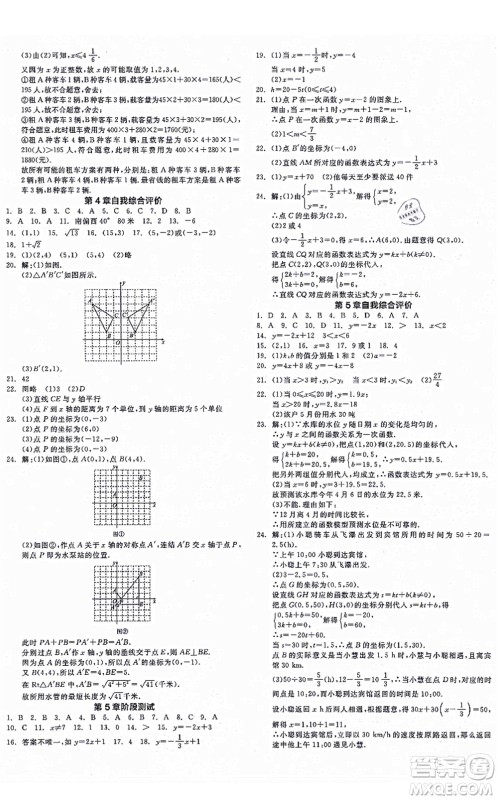 阳光出版社2021全品学练考作业手册八年级数学上册AB本ZJ浙教版答案