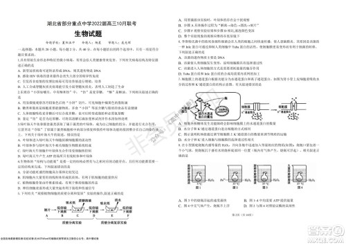 湖北省部分重点中学2022届高三10月联考生物试题及答案 湖北省部分重点中学2022届高三10月联考生物试题及答案