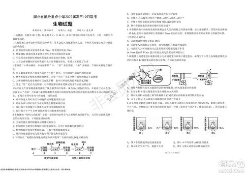 湖北省部分重点中学2022届高三10月联考生物试题及答案