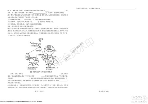 湖北省部分重点中学2022届高三10月联考生物试题及答案