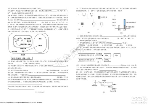湖北省部分重点中学2022届高三10月联考生物试题及答案 湖北省部分重点中学2022届高三10月联考生物试题及答案