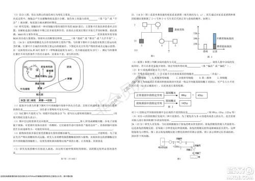 湖北省部分重点中学2022届高三10月联考生物试题及答案