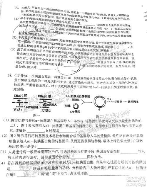 遵义市2022届高三年级第一次统一考试理科综合试题及答案