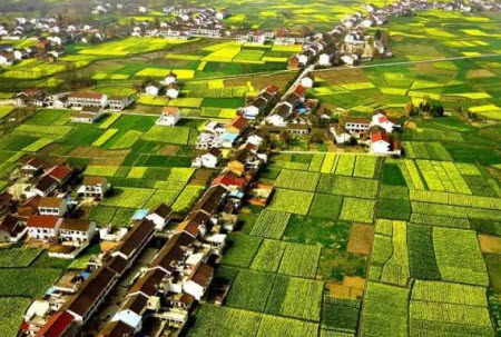 奔向小康,健康有我作文800字 关于奔向小康,健康有我对号召作文800字 奔向小康,健康有我作文800字 关于奔向小康,健康有我对号召作文800字