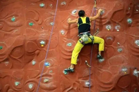 青年当志远青春须奋斗发言稿800字 关于青年当志存高远的作文800字 青年当志远青春须奋斗发言稿800字 关于青年当志存高远的作文800字