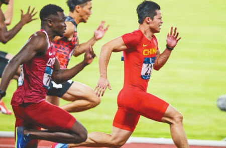 运动真美输赢都美作文800字 关于运动真美输赢都美议论文800字 运动真美输赢都美作文800字 关于运动真美输赢都美议论文800字