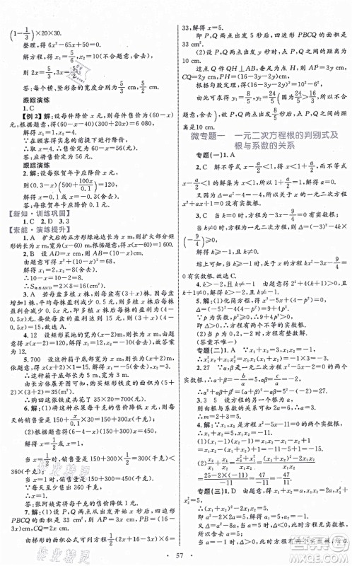 内蒙古教育出版社2021初中同步学习目标与检测九年级数学全一册人教版答案