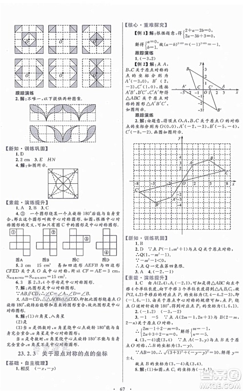 内蒙古教育出版社2021初中同步学习目标与检测九年级数学全一册人教版答案