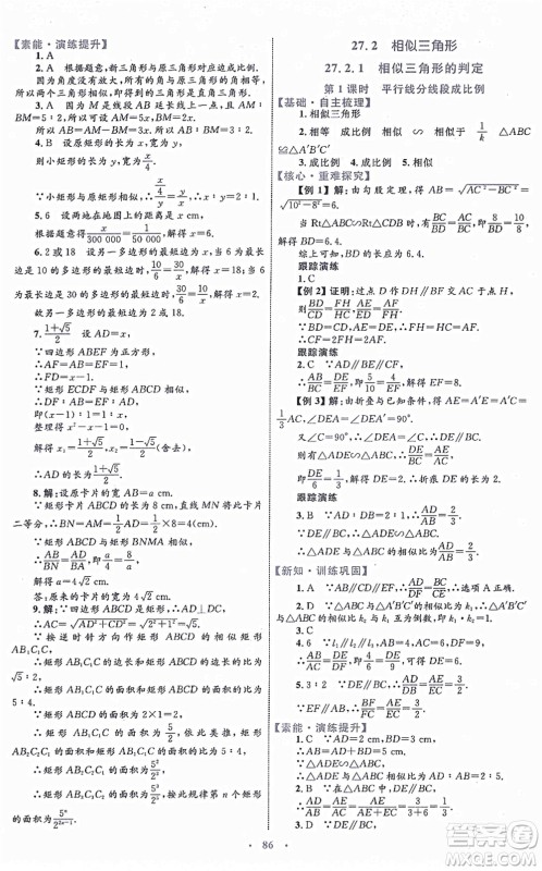 内蒙古教育出版社2021初中同步学习目标与检测九年级数学全一册人教版答案