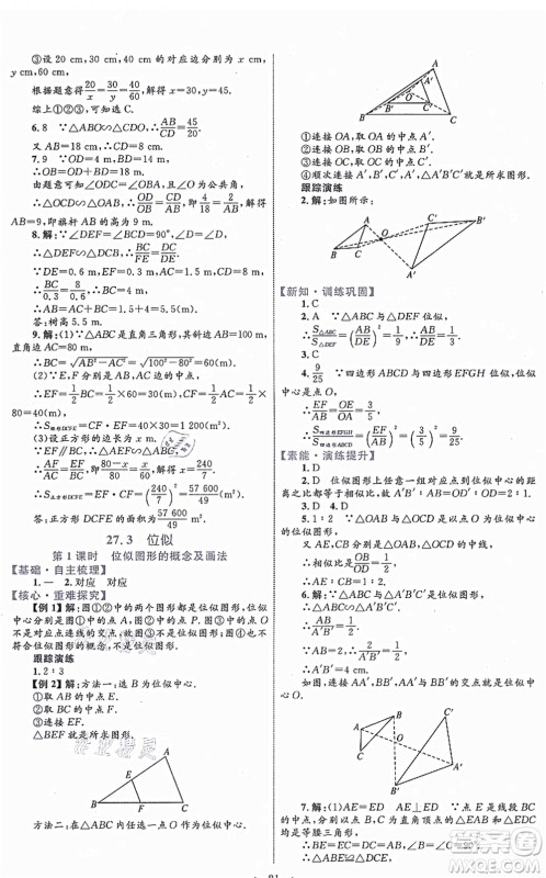 内蒙古教育出版社2021初中同步学习目标与检测九年级数学全一册人教版答案