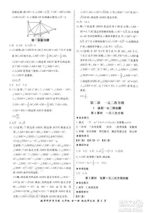 郑州大学出版社2021新学案同步导与练九年级数学北师大版参考答案