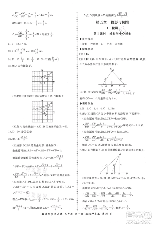 郑州大学出版社2021新学案同步导与练九年级数学北师大版参考答案