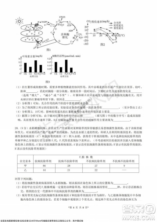 浙江省云峰联盟2022届高三10月联考生物试卷及答案 浙江省云峰联盟2022届高三10月联考生物试卷及答案