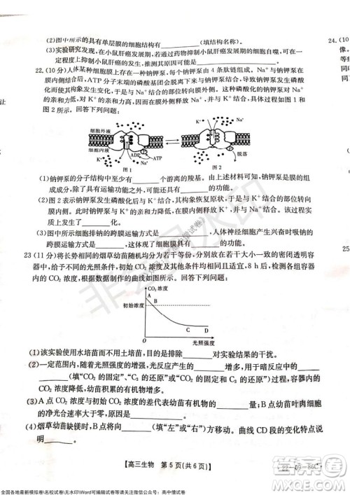 2022届辽宁高三上学期协作校第一次考试生物试题及答案