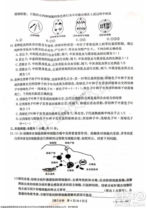 2022届辽宁高三上学期协作校第一次考试生物试题及答案