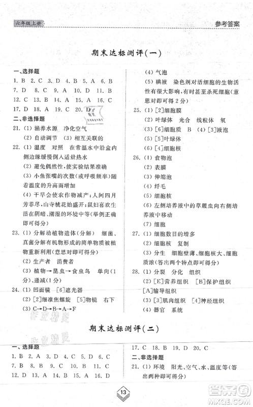 山东人民出版社2021综合能力训练六年级生物上册五四制鲁科版答案