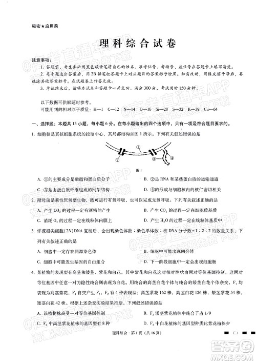 2022届贵阳一中高考适应性月考二理科综合试题及答案