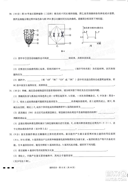 2022届贵阳一中高考适应性月考二理科综合试题及答案 2022届贵阳一中高考适应性月考二理科综合试题及答案