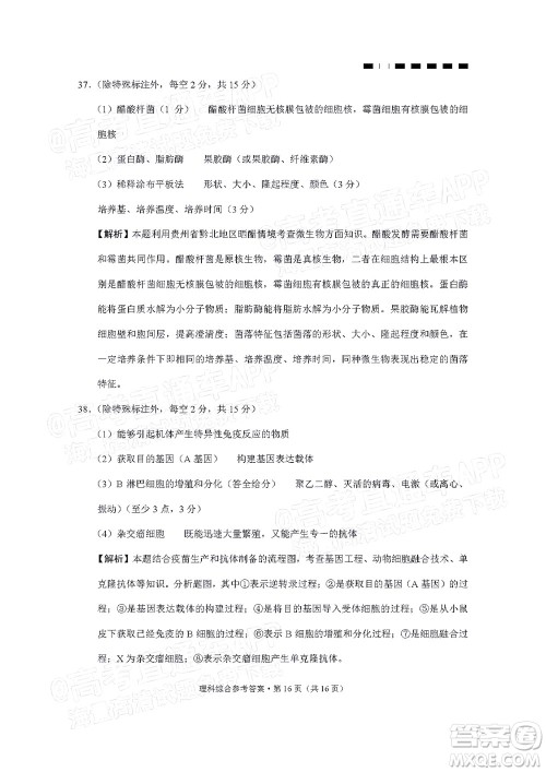 2022届贵阳一中高考适应性月考二理科综合试题及答案