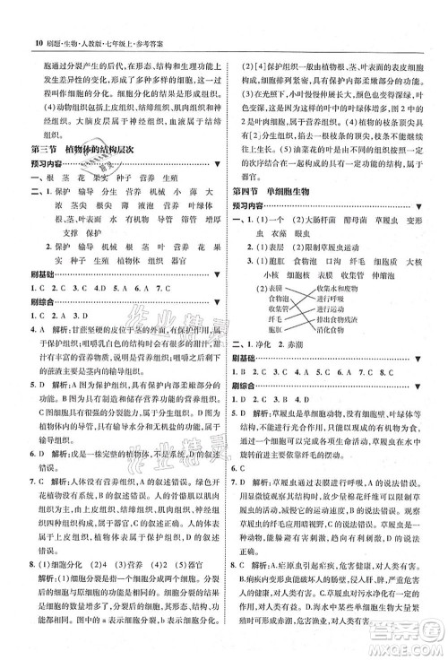 东北师范大学出版社2021北大绿卡刷题七年级生物上册人教版答案