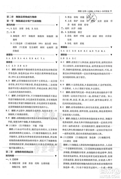 东北师范大学出版社2021北大绿卡刷题七年级生物上册人教版答案